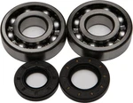 Balls 24-1009 Crankshaft Bearing And Seal Kit. Fixed Price $95.12.