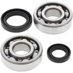 Balls Crank Shaft Bearing Kit 24-1003. Fixed Price $81.29.