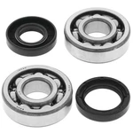 Balls Crank Bearing And Seal Kit 24-1063. Fixed Price $63.41.