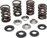 Kibblewhite Lightweight Racing Valve Spring Kit Titanium 20-20360. Fixed Price $210.76.