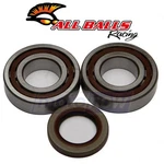 Balls Crank Bearing And Seal Kit For 2003-2006 Ktm 525 Sx Engine Xi. Fixed Price $188.15.