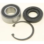 Balls Inner Primary Bearing And Seal Kit 25-3102. Fixed Price $28.69.