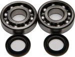 Balls 24-1045 Crank Bearing And Seal Kit. Fixed Price $86.88.