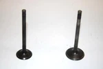 86 Kawasaki Bayou KLF300A Oem Intake/exhaust Valve (pair) 12004-1123 AK6. Fixed Price $29.99.