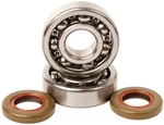 Hot Rods Crankshaft Main Bearing And Seal Kit For 1998-08 Ktm 65 Sx K020. Fixed Price $63.60.