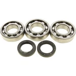 Balls 24-1084 Crankshaft Bearing Kit. Fixed Price $113.34.