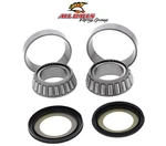 Speed 4 600 2003-2006 Triumph Heavy Duty Steering Stem Bearing & Seal Kit. Fixed Price $48.85.