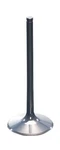 Pro-x Intake Valve Titanium 28.4334-2. Fixed Price $76.99.
