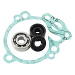 Hot Rods Water Pump Rebuild Kit WPK0039. Fixed Price $42.99.