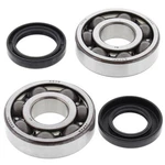Balls Crank Shaft Bearings 24-1065 Yamaha WR200 92 New Ships Today. Fixed Price $130.85.