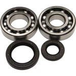 Balls 24-1017 Crank Bearing And Seal Kit. Fixed Price $92.99.