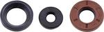 Vertex Crankshaft Oil Seal Kit - 622205. Fixed Price $25.79.