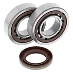 Balls Crank Bearing And Seal Kit For Ktm 525 03-06 / Sxs 450 03-04. Fixed Price $188.15.