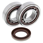 Balls Crank Bearing And Seal Kit For Ktm Mxc-g 450 03-05 / 525. Fixed Price $183.15.