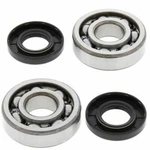 Kawasaki KX60 1983-2003 Main Crankshaft Bearings And Seals. Fixed Price $26.99.