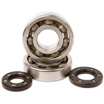 1991-1994 Kawasaki Kdx 250 Dirt Bike Hot Rods Main Bearing And Seal Kit. Fixed Price $106.36.
