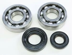 Pro-x 23.CBS23001 Yamaha YZ250 2001-2019 (2T) Crankshaft Bearing And Seal Kit. Fixed Price $63.99.