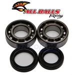 Balls Crank Bearing And Seal Kit For 1986-1990 Yamaha BW80 Engine. Fixed Price $66.20.