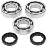 Balls Crank Shaft Bearing Kit Polaris 300 2X4 94-95, 4X4 24-1084. Fixed Price $113.34.