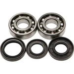 Balls 24-1022 Crank Bearing And Seal Kit. Fixed Price $54.18.