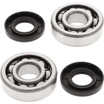 Balls 24-1006 Crank Bearing And Seal Kit. Fixed Price $63.05.