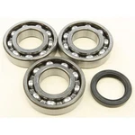 Balls Crankshaft Bearing/seal Kit 24-1076. Fixed Price $95.43.