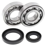 Balls Crank Shaft Bearing Kit For Suzuki RM250 1986-1988. Fixed Price $92.99.