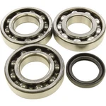 Balls 24-1090 Crankshaft Bearing Kit. Fixed Price $108.57.