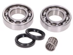 Aprilia Rs 125 2T 06-10 Crank Bearing & Seal Kit Rotax 122 / 123 Engines. Fixed Price $54.49.