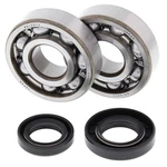 Balls Crank Bearing & Seal Kit For 1976-1978 Yamaha LB80 24-1022. Fixed Price $54.18.