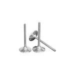 Wiseco Titanium Intake Valve - VIT013CL77. Fixed Price $104.77.