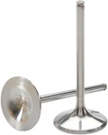 Del West Intake Valve Titanium DW-KX450F-IV09. Fixed Price $148.15.