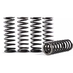 Hinson Hi-temp Clutch Spring Kit CS264-5-0409. Fixed Price $62.09.