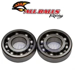 Balls Crank Bearing And Seal Kit For 1983-1984 Kawasaki KLT250 Engine Pv. Fixed Price $74.34.