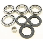 Balls Rear Differential Bearing And Seal Kit 25-2101. Fixed Price $72.49.