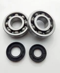 KX250 Main Crank Bearings And Seals Kit 87 88 89 90 91 92 93 94 95. Fixed Price $42.00.