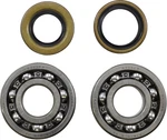 Vintco Main Bearing And Seal Kit - Fits Kawasaki KMB010. Fixed Price $47.95.