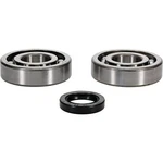 Balls Crank Shaft Bearings 24-1126 Polaris Phoenix 200 05-15. Fixed Price $70.54.