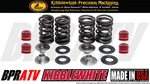 08-20 Kawasaki Kibblewhite Race Titanium Valves Springs Kit Usa. Fixed Price $184.89.
