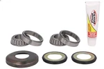 Steering Head Bearing Pivot Works PWSSK-Y01-021. Fixed Price $78.85.
