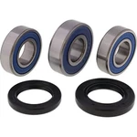 Balls Wheel Bearing Kit Rear 25-1117 Kawasaki KLX400R 03 New Ships Today. Fixed Price $50.01.