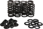 Kibblewhite 30-33800 Lightweight Racing Valve Spring Kit. Fixed Price $270.89.