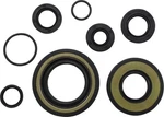 Vintco Engine Oil Seal Kit #KOS005 For Honda MT250K ELSINORE/MR250. Fixed Price $51.29.