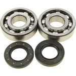 Balls 24-1040 Crankshaft Bearing Kit. Fixed Price $120.05.