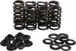 Kibblewhite Lightweight Racing Valve Spring Kit 30-33800. Fixed Price $256.99.