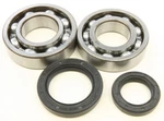 Balls Crankshaft Bearing/seal Kit 24-1037. Fixed Price $92.31.
