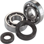Balls Racing Crankshaft Bearing Kit AB24-1063 AB241063. Fixed Price $63.41.