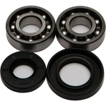 Balls Crankshaft Bearing/seal Kit 24-1061. Fixed Price $42.16.