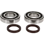 Pro X Crankshaft Bearing And Seal Kit 23.CBS60001. Fixed Price $36.21.