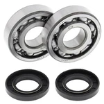 Balls Crankshaft Bearings Kawasaki Tecate Kxf 250 1987 1988 24-1040. Fixed Price $120.05.